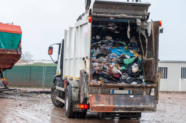 Best Yard Waste Removal  in Suffolk, VA
